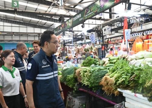 “DIT ลุยตรึงราคาผักชีปลายฝน! เร่งกระจายผลผลิตจากแหล่งอื่นเข้าทดแทน คาดราคาลดลงสัปดาห์หน้า”