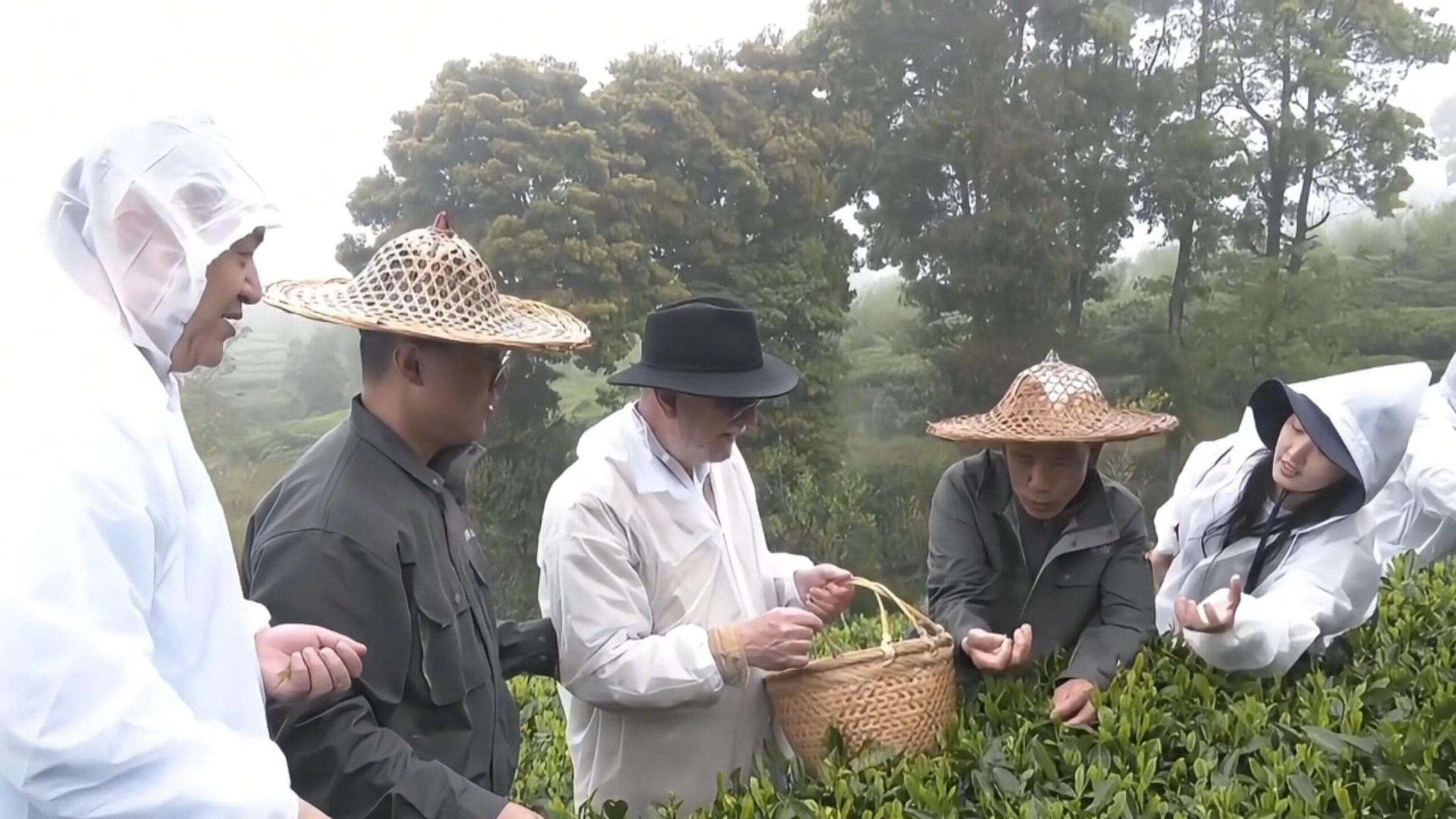 3 พื้นที่ในจีนขึ้นแท่น 'ระบบมรดกเกษตรสำคัญ' ระดับโลก