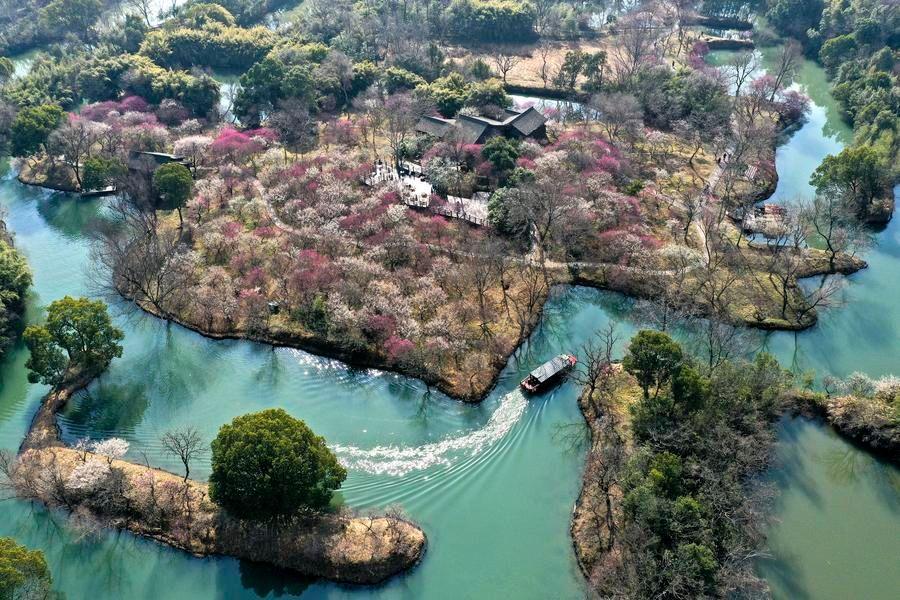 จีนมุ่งพิทักษ์ 'สัตว์ป่า-พืชป่า' เตรียมปฏิบัติการพิเศษฤดูใบไม้ผลิ