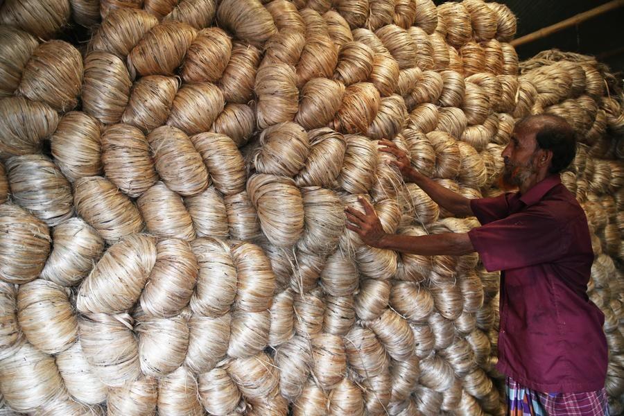 ตลาดซื้อขาย 'ปอกระเจา' คึกคักในบังกลาเทศ
