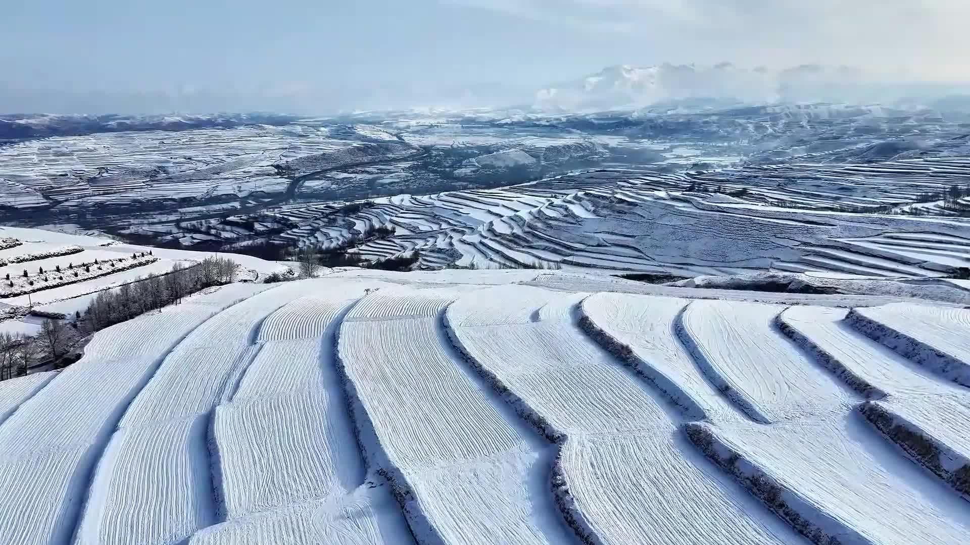 สวนไร่ขั้นบันไดห่มหิมะขาวในชิงไห่