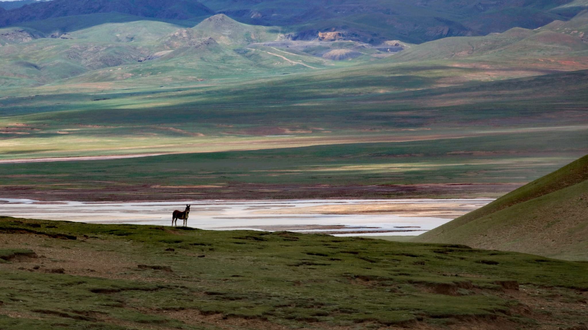 ชิงไห่พบแหล่ง 'ภาพเขียนหินโบราณ' เผยฉากชีวิตชนเผ่าร่อนเร่บนทุ่งหญ้า