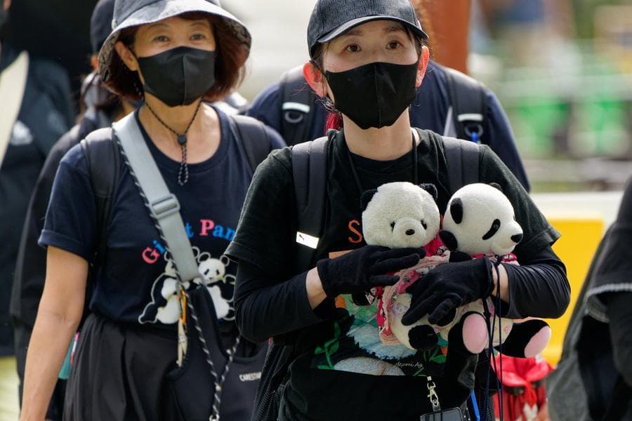 สอง 'แพนด้ายักษ์' ขวัญใจชาวญี่ปุ่น เดินทางกลับจีนหลังป่วยตามวัย