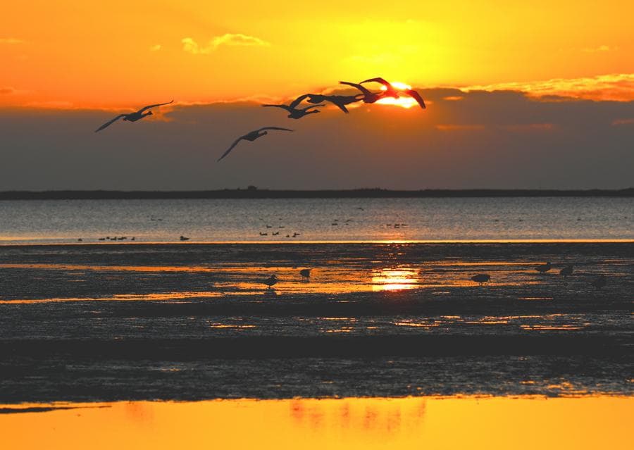 หลากสีสันสารทฤดูในหลายมณฑลจีน