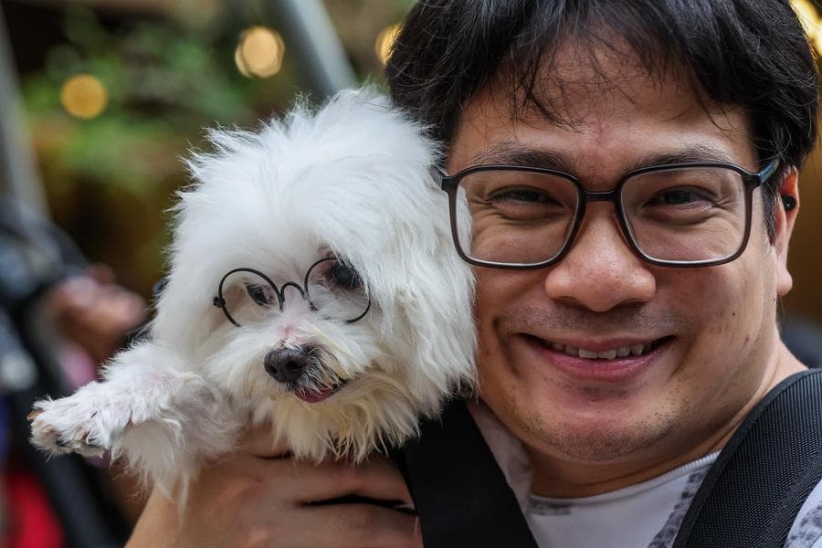 Asia Album : สีสันพาเหรด 'สัตว์เลี้ยงแสนรู้' ในฟิลิปปินส์