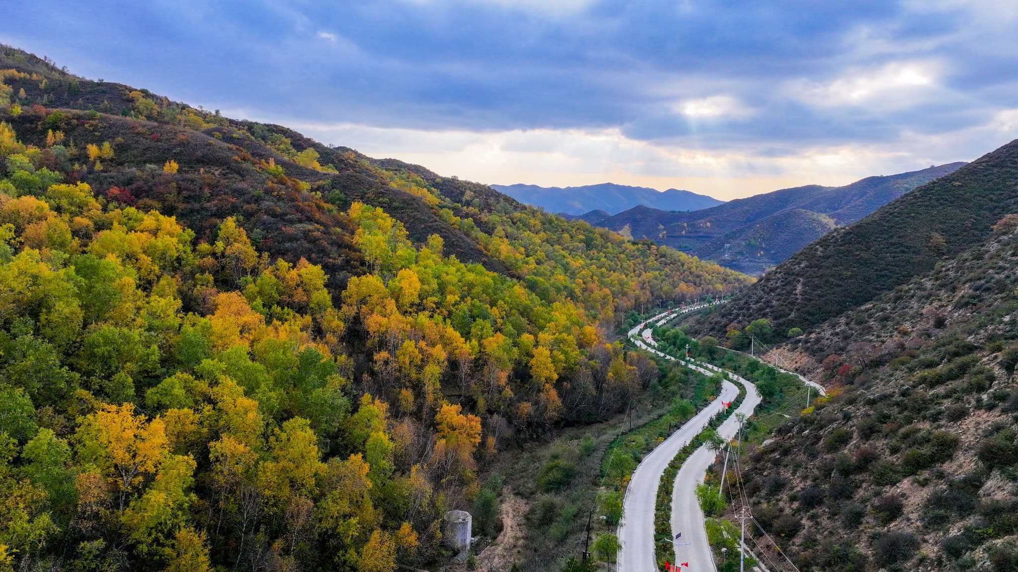 สีสันฤดูใบไม้เปลี่ยนสีในมองโกเลียใน