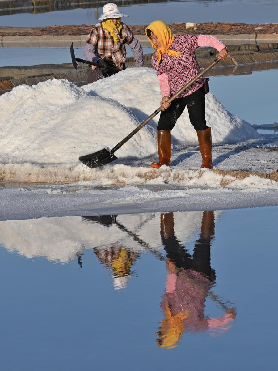 ตาก 'เกลือ' กลางแดด เทคนิคผลิตเกลือทะเลดั้งเดิมในฝูเจี้ยน