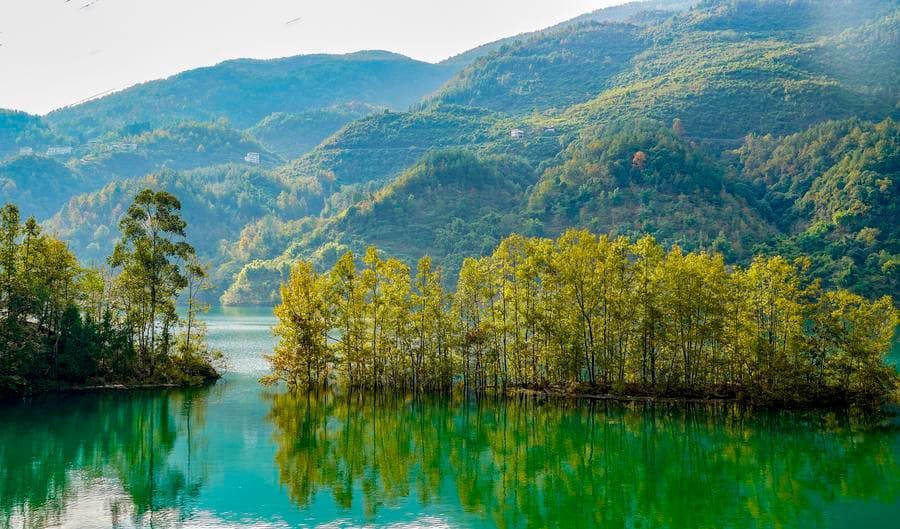 ทิวทัศน์ 'ระเบียงร้อยลี้แห่งแม่น้ำอูเจียง' ในฉงชิ่ง เขียวชอุ่มงามตา