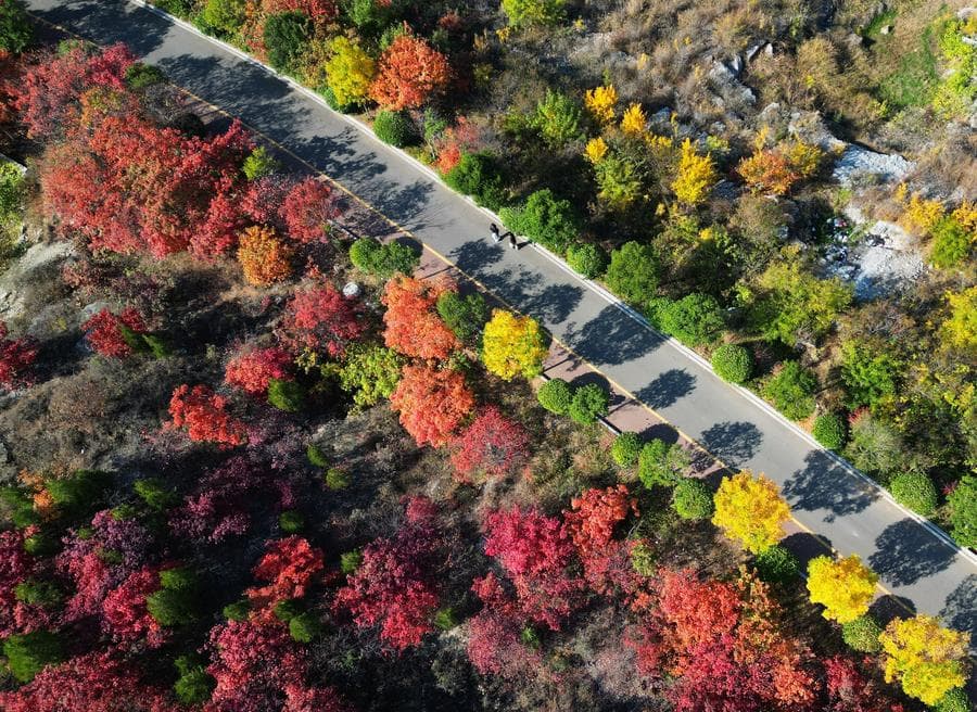 บอกลา 'สารทฤดู' กับทิวทัศน์งดงามจากหลากมุมเมืองจีน