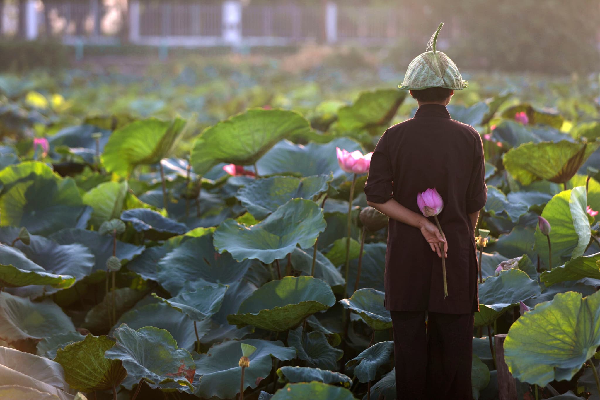 คาด 'เวียดนาม' เจอคลื่นความร้อนรุนแรงในปี 2025
