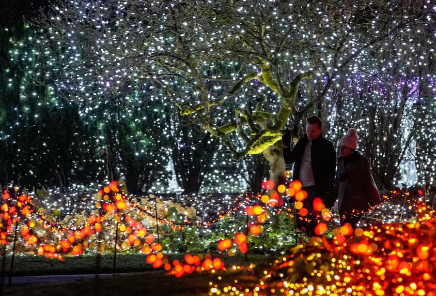 แคนาดาจัด 'เทศกาลแห่งแสง' ฉลองครบรอบ 40 ปี