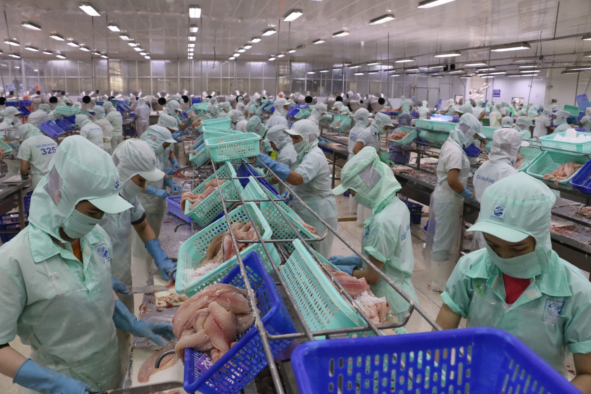 ราคาส่งออก 'ปลาแพนกาเซียส' ของเวียดนาม พุ่งสูงสุดในรอบ 3 ปี