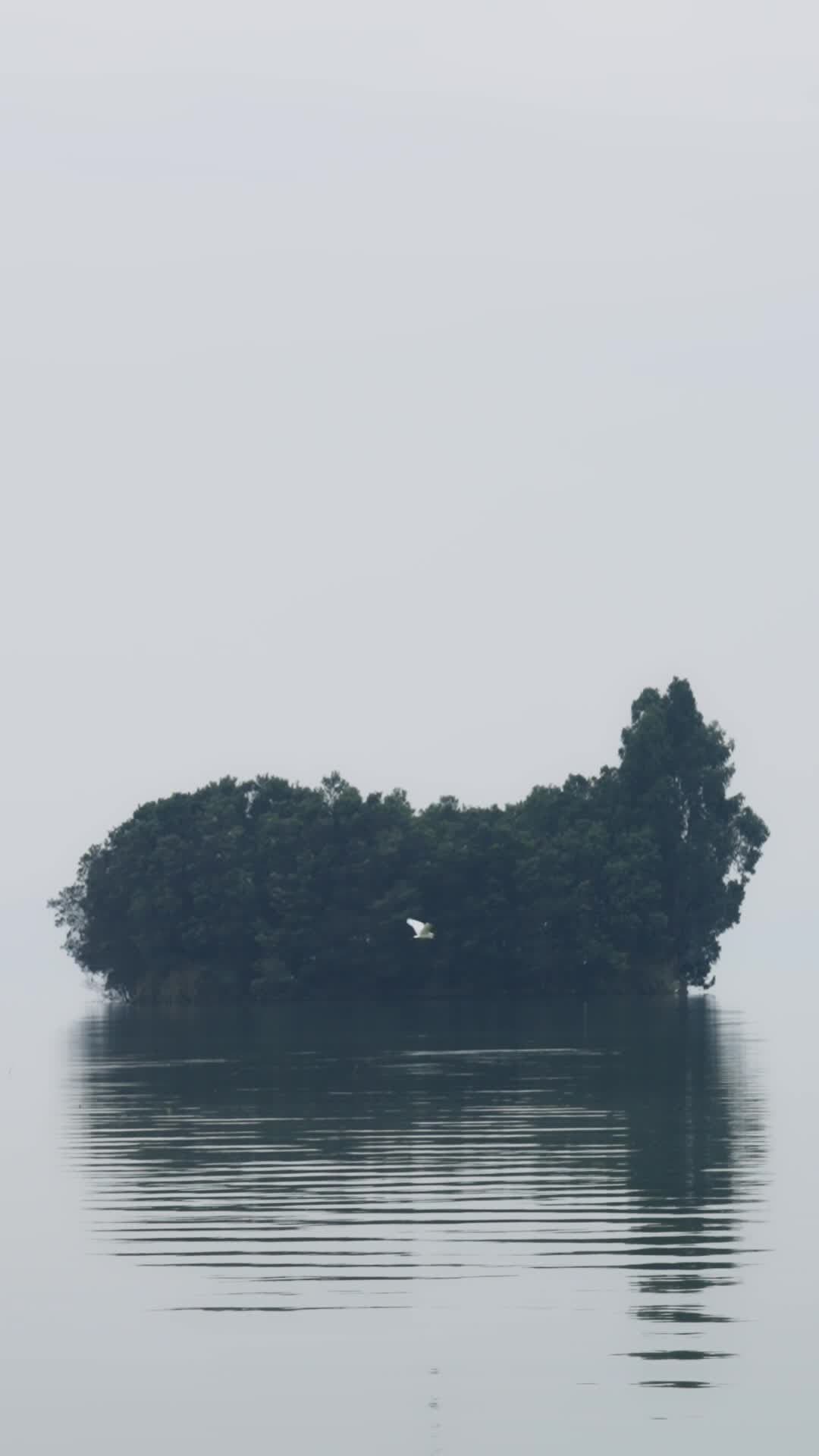 ฉากธรรมชาติ 'ทะเลสาบเตียนฉือ' สวยราวภาพวาดน้ำหมึกจีนที่มีชีวิต