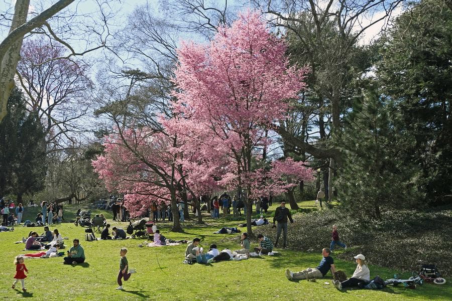 ศึกษาเผย วัยรุ่นอเมริกันส่วนใหญ่เคยใช้ AI เป็น 'เพื่อนคุย