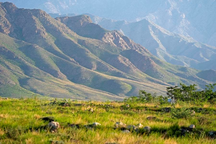 ฉากธรรมชาติ 'ภูเขาเฮ่อหลาน' เขียวชอุ่มในหนิงเซี่ย