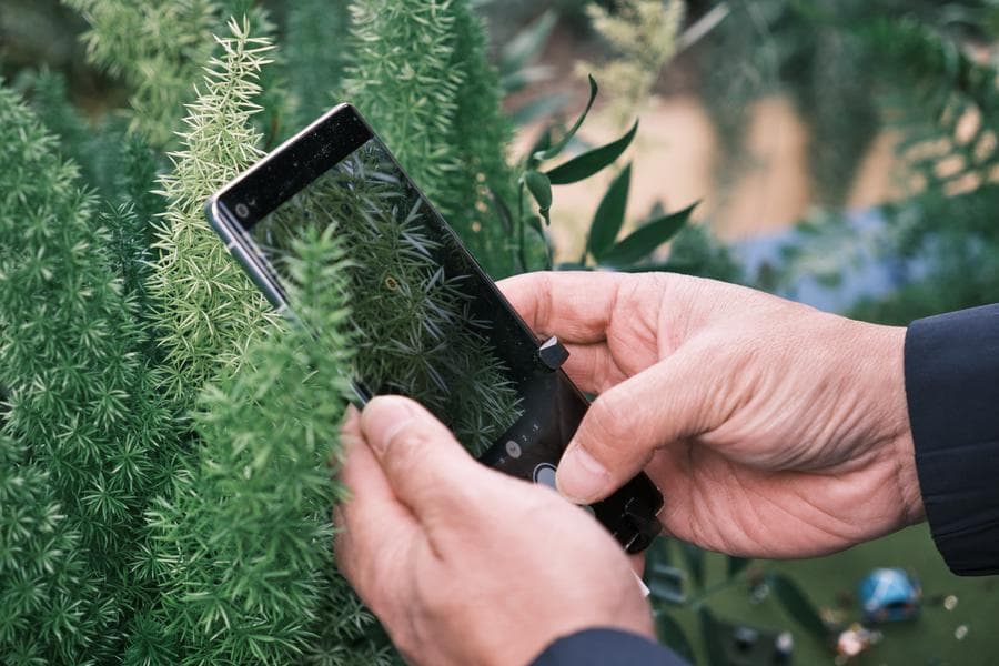 รัฐสภาอินเดียผ่านร่างกฎหมายแบน 'เกมออนไลน์' เกี่ยวกับเงิน