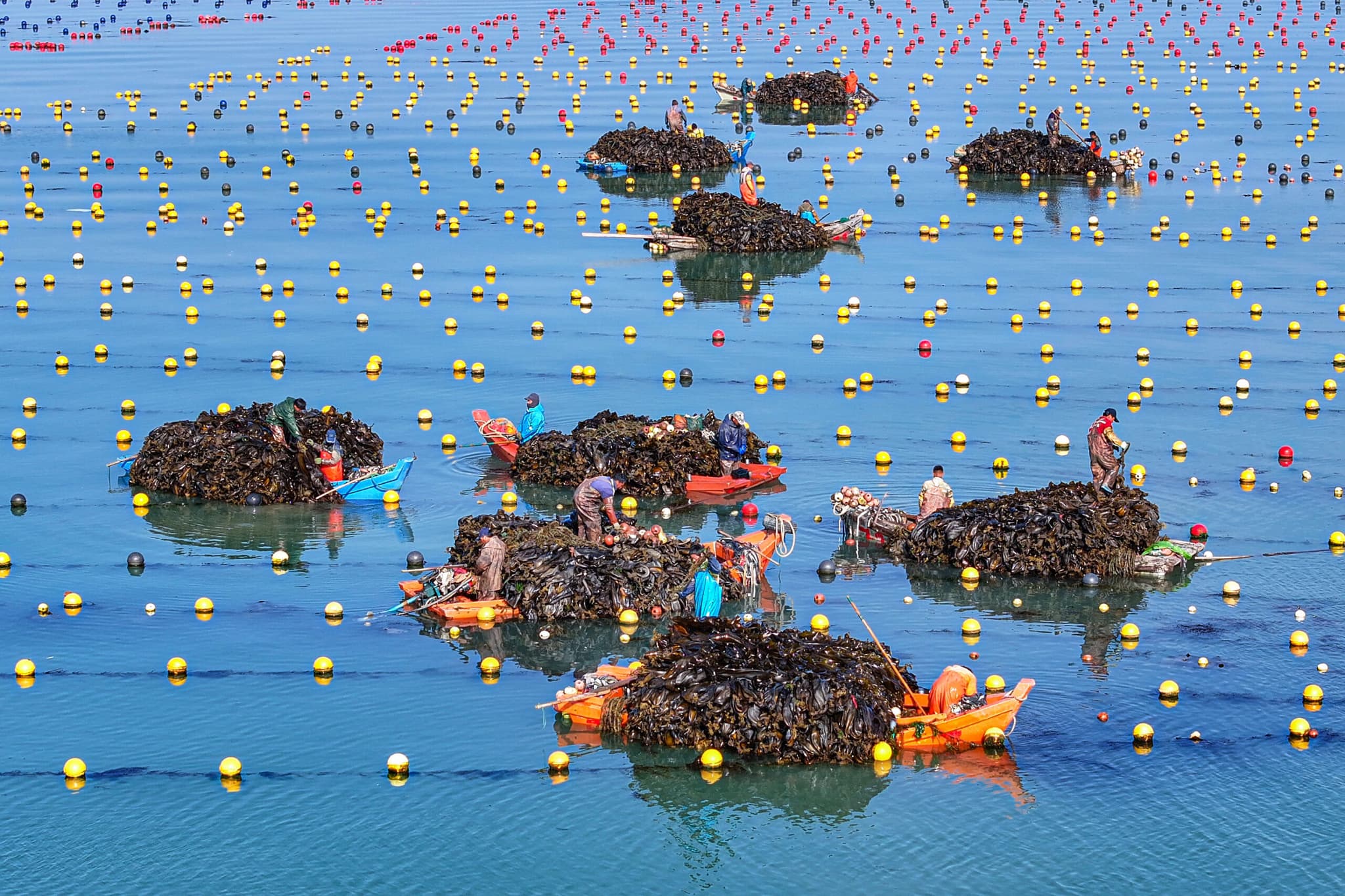 ประชุมโต๊ะกลมเศรษฐกิจจีน : เศรษฐกิจทางทะเลของจีน โตต่อเนื่องในครึ่งปีแรก