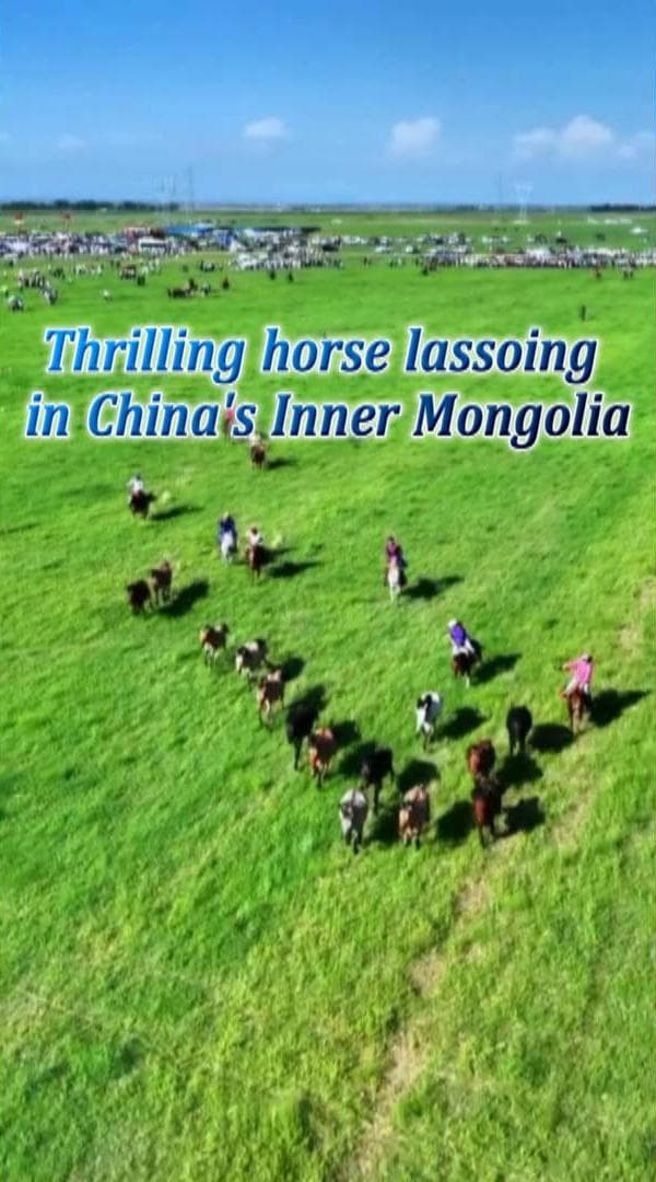 นักขี่ม้าควบแข่ง 'โยนบ่วงคล้องม้า' สุดตื่นตาในมองโกเลียใน