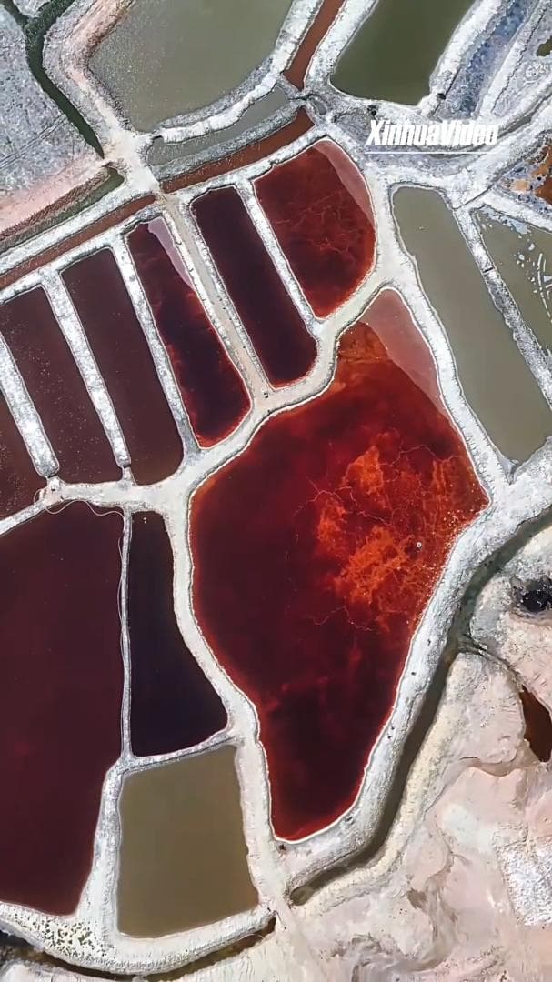 ทะเลสาบ 'ฮาหม่ารื่อเก๋อไท่' มหัศจรรย์ธรรมชาติในมองโกเลียใน