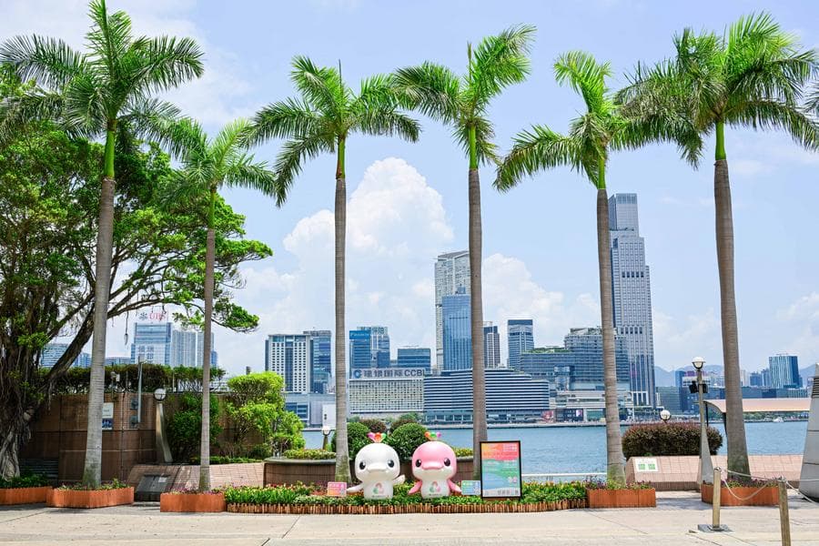 ฮ่องกงนับถอยหลัง 100 วัน สู่การแข่งขัน 'กีฬาแห่งชาติจีน' ครั้งที่ 15