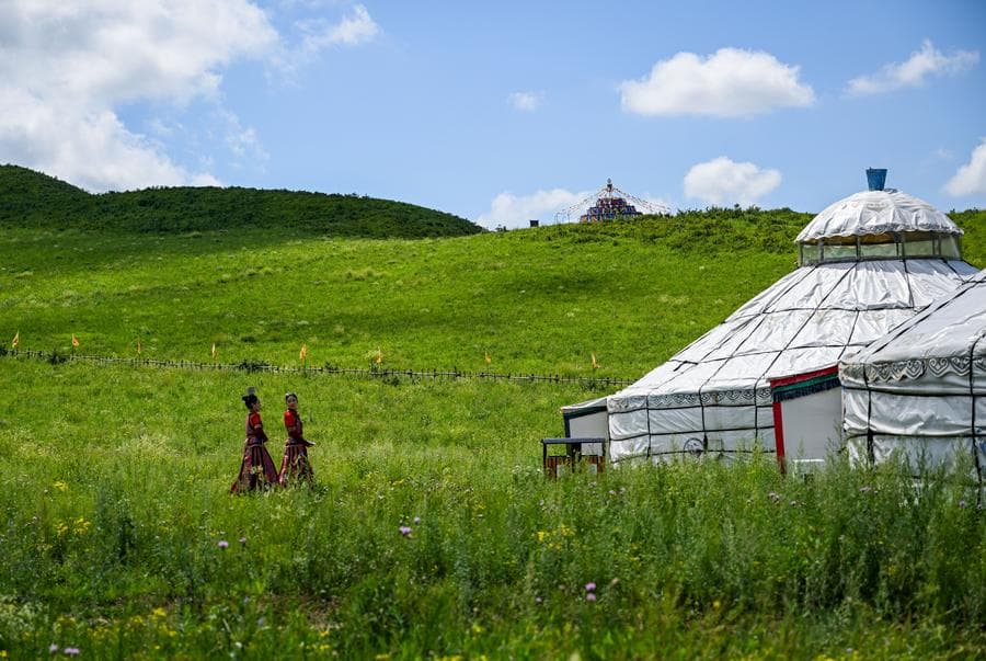 อาณาจักร 'ทุ่งหญ้าจาหลู่เท่อ' เขียวขจีในมองโกเลียใน