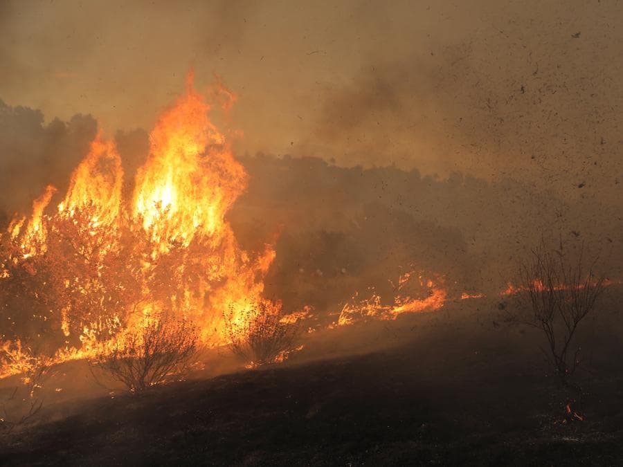 ดับเพลิงสหรัฐฯ เร่งควบคุม 'ไฟป่า' ในแคลิฟอร์เนีย