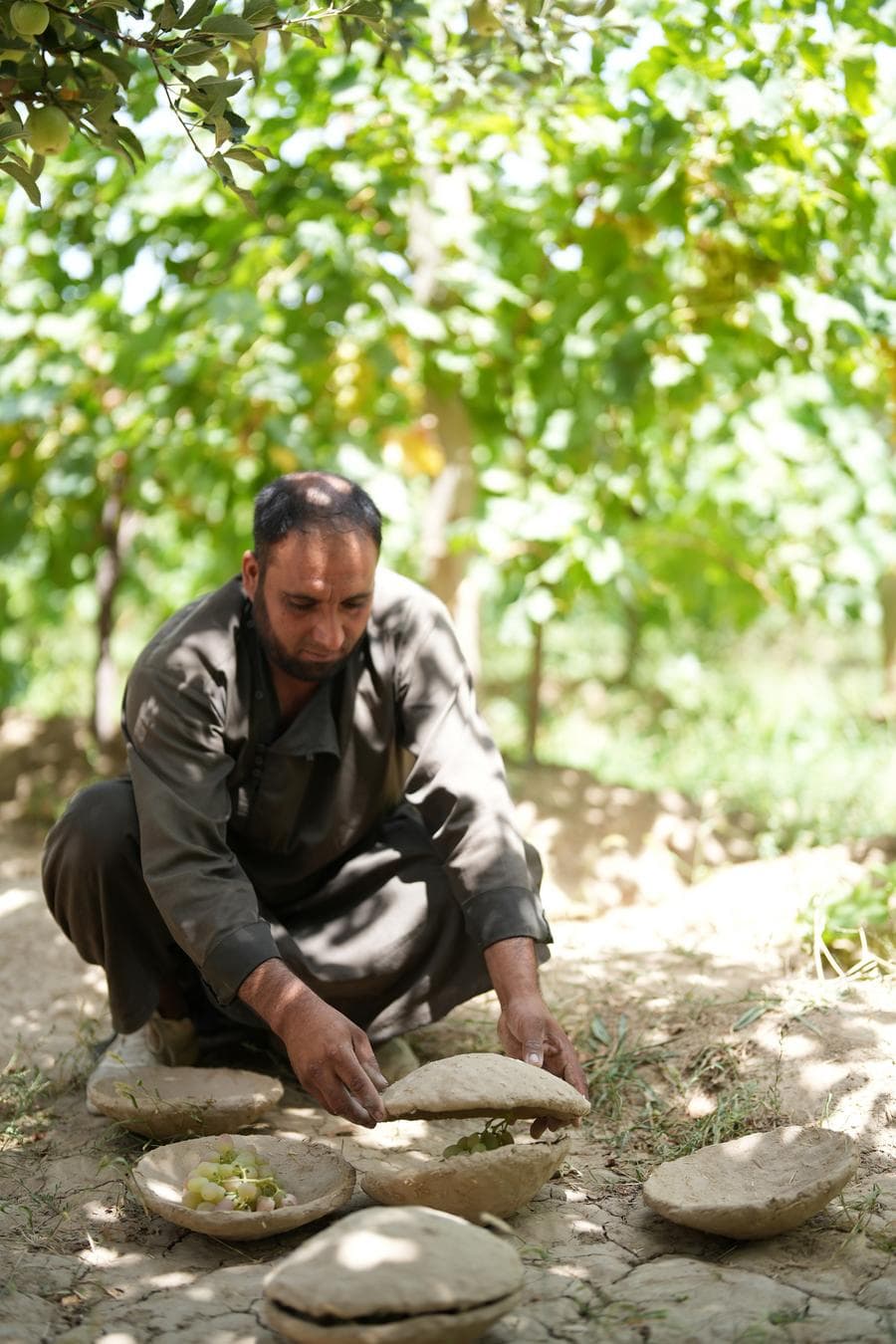 ชาวอัฟกันเก็บองุ่นใน 'คันกานา' ถนอมองุ่นสดใหม่ยาวนาน