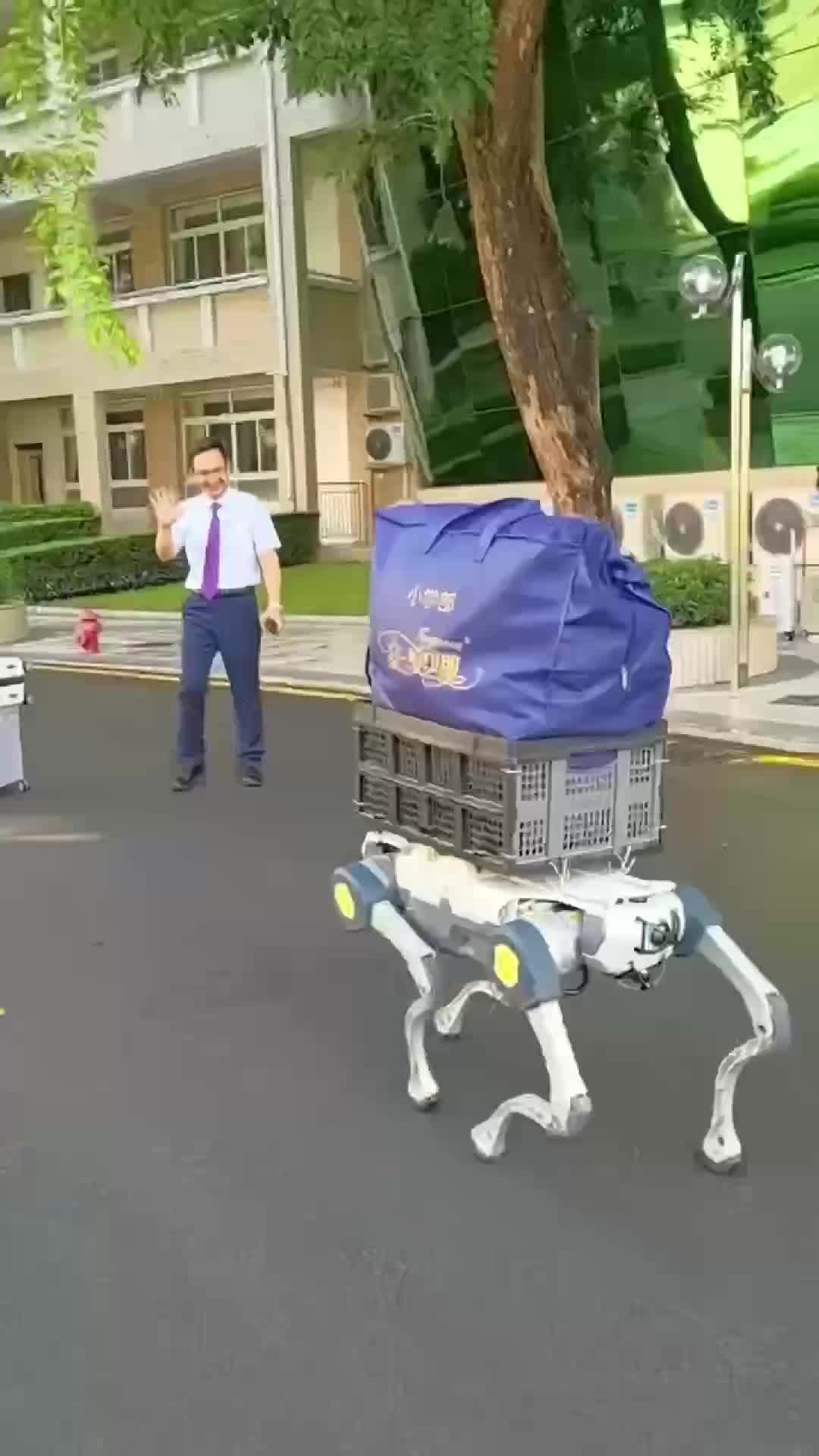 มหาลัย'จีนใช้ 'หุ่นยนต์ขนกระเป๋า' นศ.ไม่ต้องเหนื่อยยก