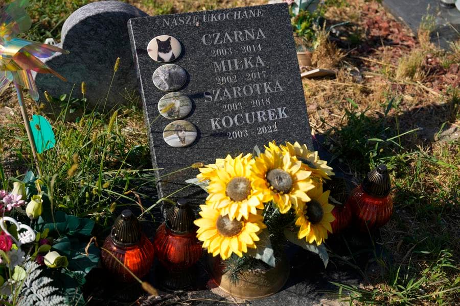 สำรวจ 'สุสานสัตว์เลี้ยง' ที่พักพิงสุดท้ายของสัตว์หลายหมื่นตัวในโปแลนด์