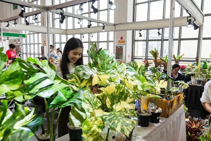 สารพัด 'พืชพรรณไทย' สวยเด่น เตะตาคนเที่ยวงานดอกไม้ในคุนหมิง