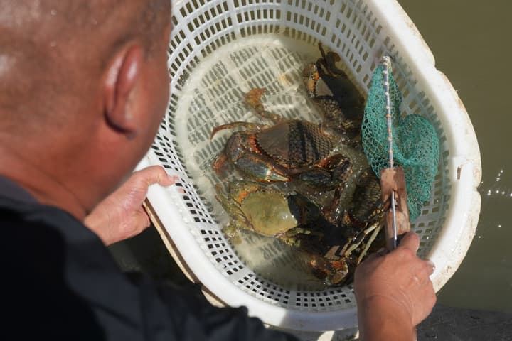 เจ้อเจียงพัฒนา 'อุตสาหกรรมปู' ผสานเทคโนโลยีล้ำสมัย