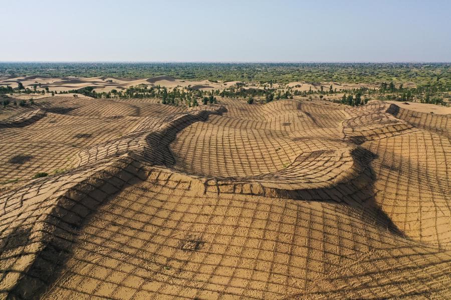 คนงานลุยสร้าง 'ตารางคุมทราย' ในมองโกเลียใน