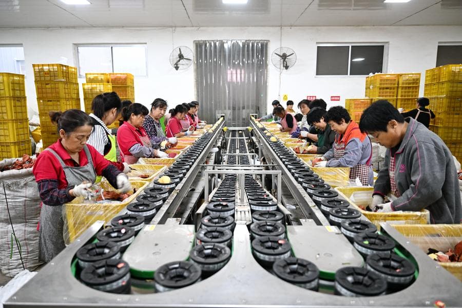 บ้านเกิด 'สาลี่เป็ดจีน' เร่งเตรียมผลผลิต ป้อนตลาดต่างแดน