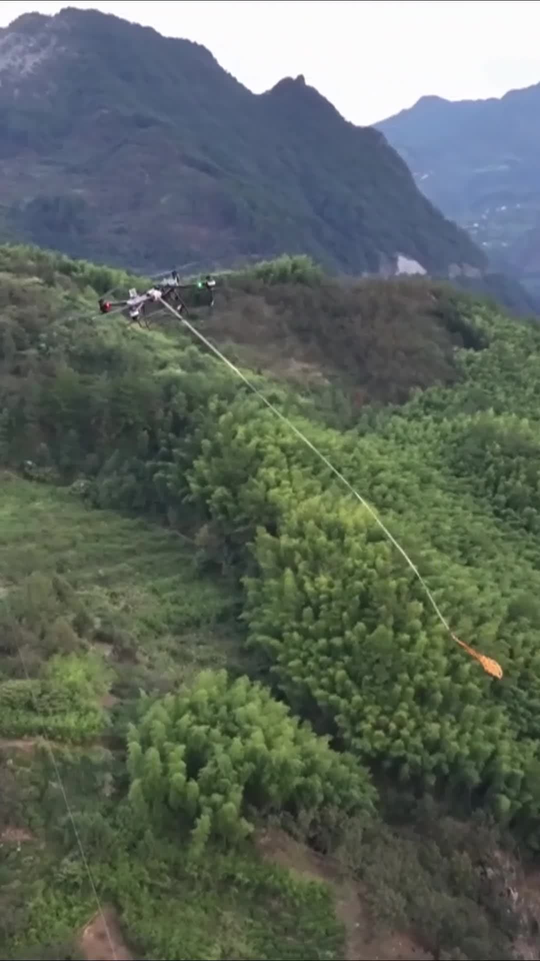 หางโจวใช้โดรนลำเลียง 'ถั่วฮิคกอรี' แทนแบกกระสอบลงจากภูเขา