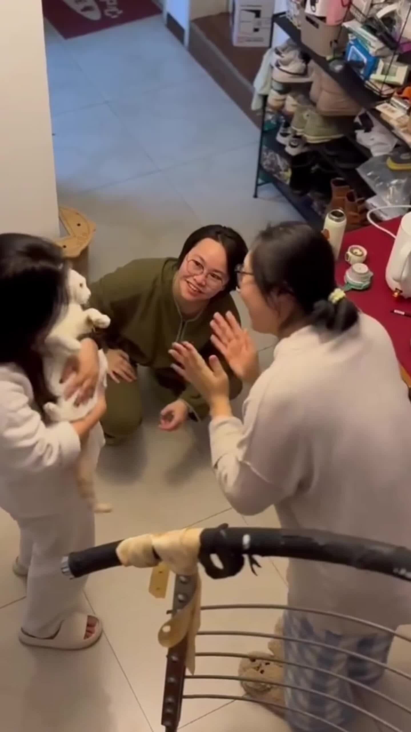 ทาสเหมียวใจละลาย! แมวร้องรับส่งเพลง HBD ภาษาจีนกับเจ้าของ