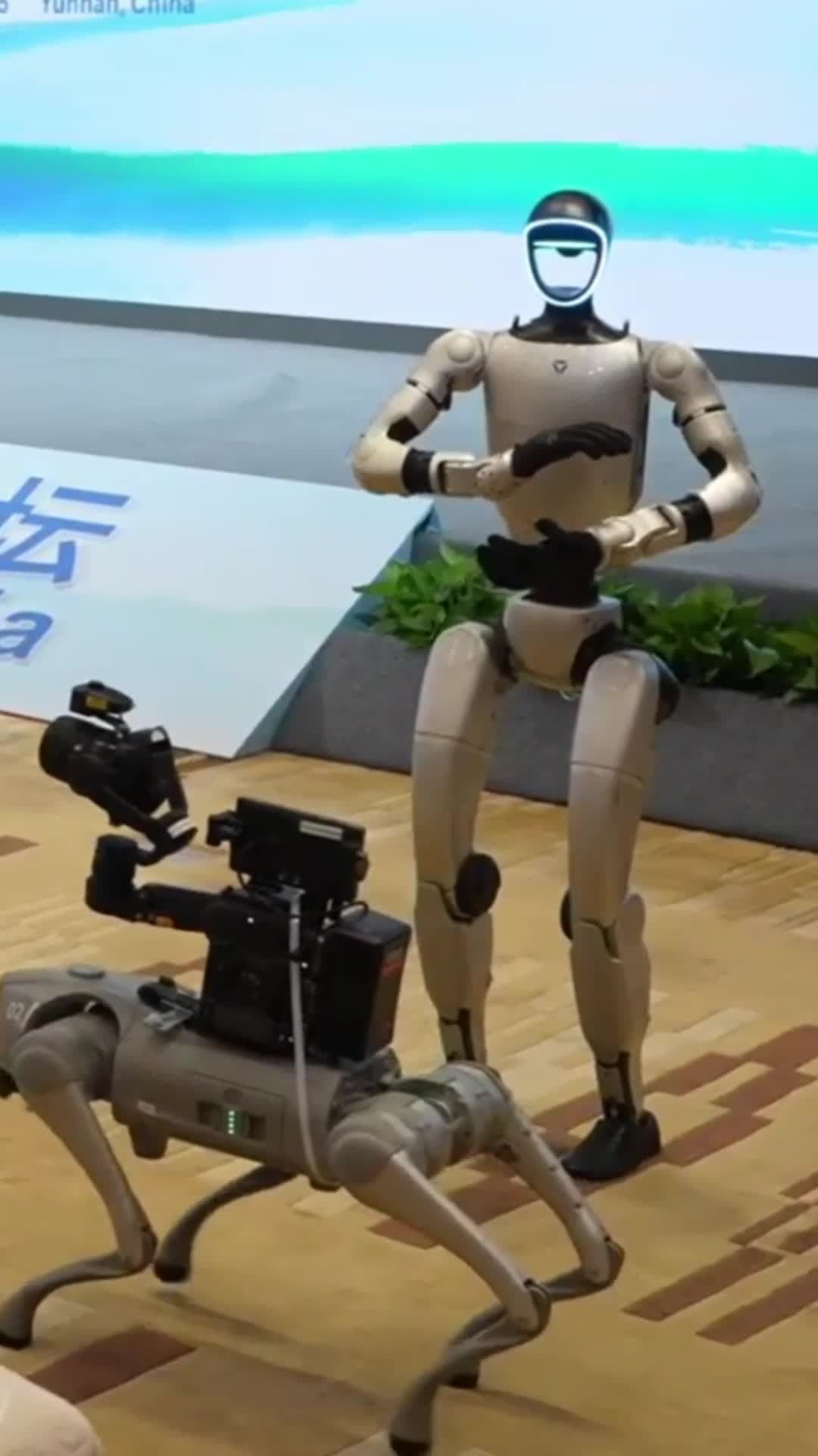 หุ่นยนต์ฮิวแมนนอยด์โชว์ลีลา 'มวยไทเก็ก' ในคุนหมิง