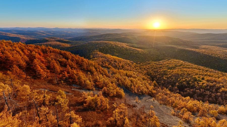 สีสันสารทฤดูแต้ม 'ฮูหลุนเป้ยเอ่อร์' เหลืองทองอร่าม