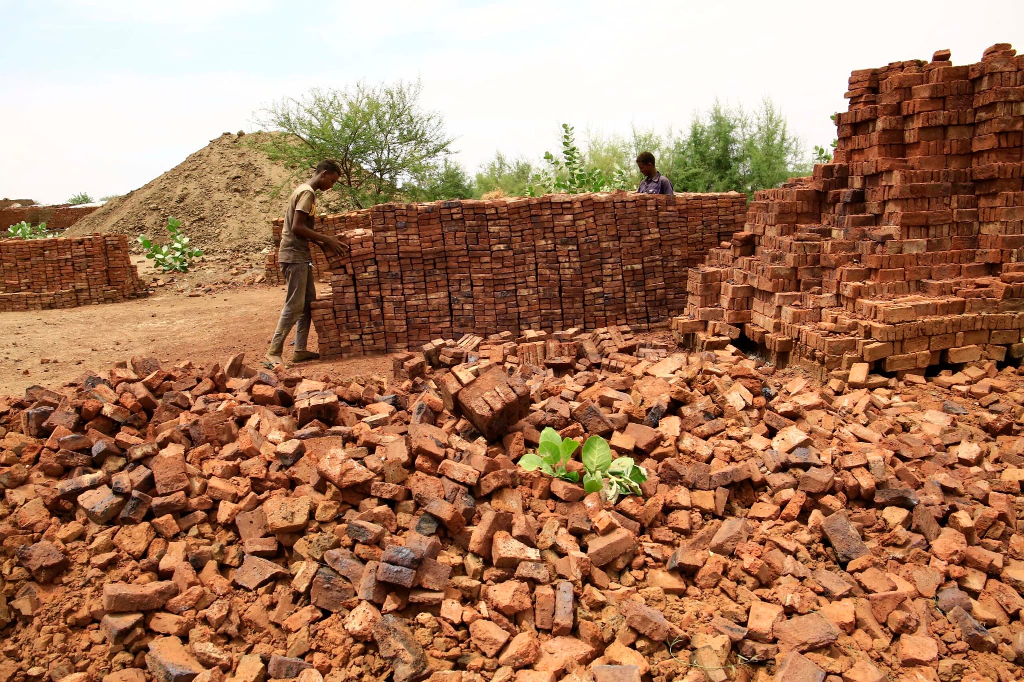 เหตุ 'ดินถล่ม' ในซูดาน คร่าชาวบ้านบนเขา ทั้งหมู่บ้านเหลือรอด 1 ชีวิต