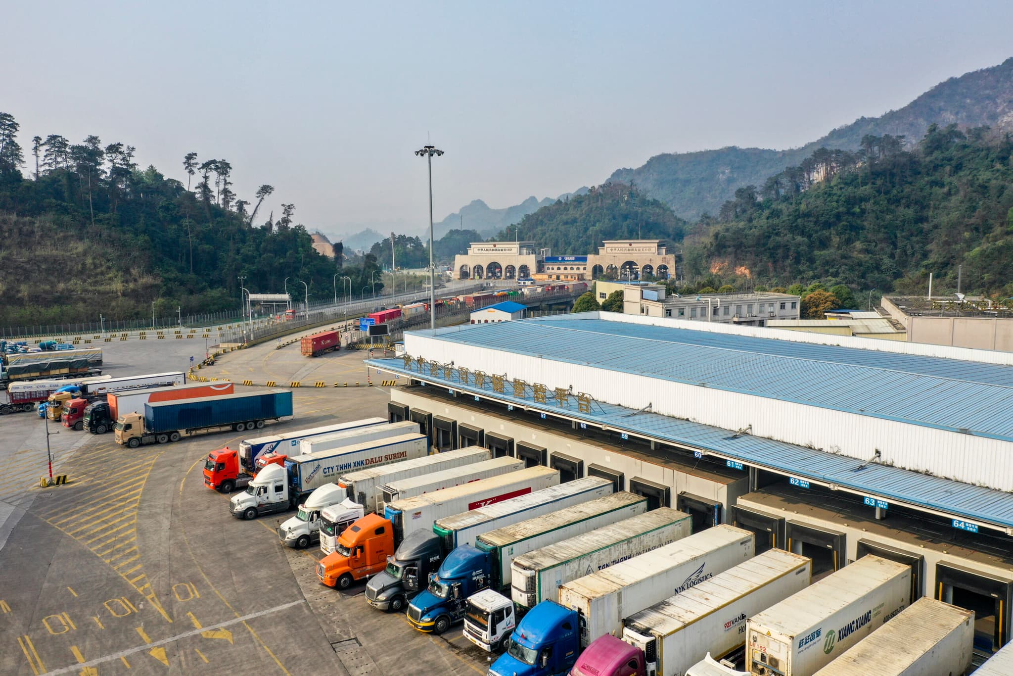 จากกิ่งก้านสู่โต๊ะอาหาร 'จีน-อาเซียน' เดินหน้าส่งเสริมการค้า 'ผลไม้' สองทาง