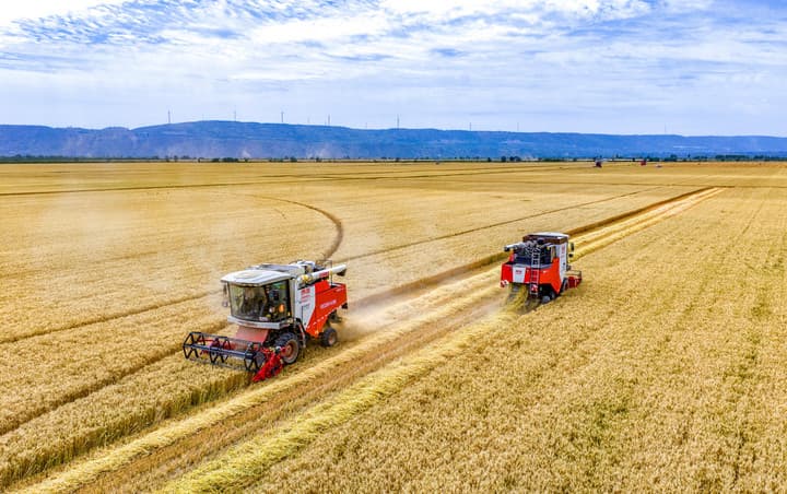 จีนเผยผลผลิต 'ธัญพืช' สูงทุบสถิติใหม่ในช่วงปี 2021-2025