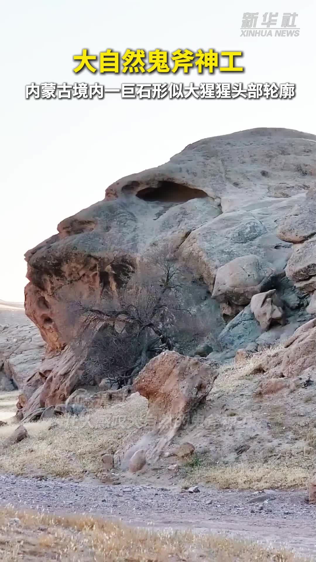 หินยักษ์คล้าย 'หัวกอริลลา' สะดุดตาในมองโกเลียใน