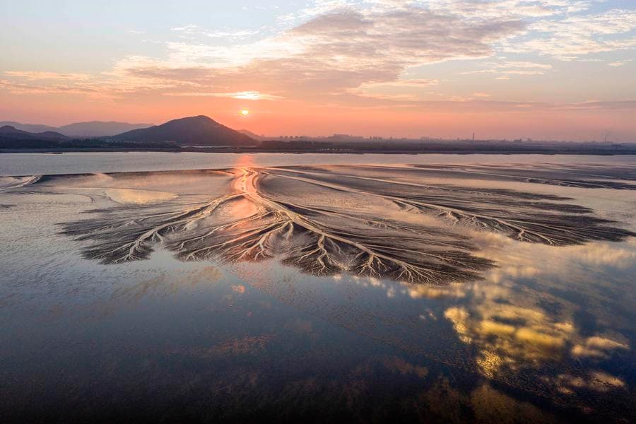 กำแพงน้ำเนรมิตหาดเลน วาดลวดลาย 'ต้นไม้ยักษ์' ในเจ้อเจียง