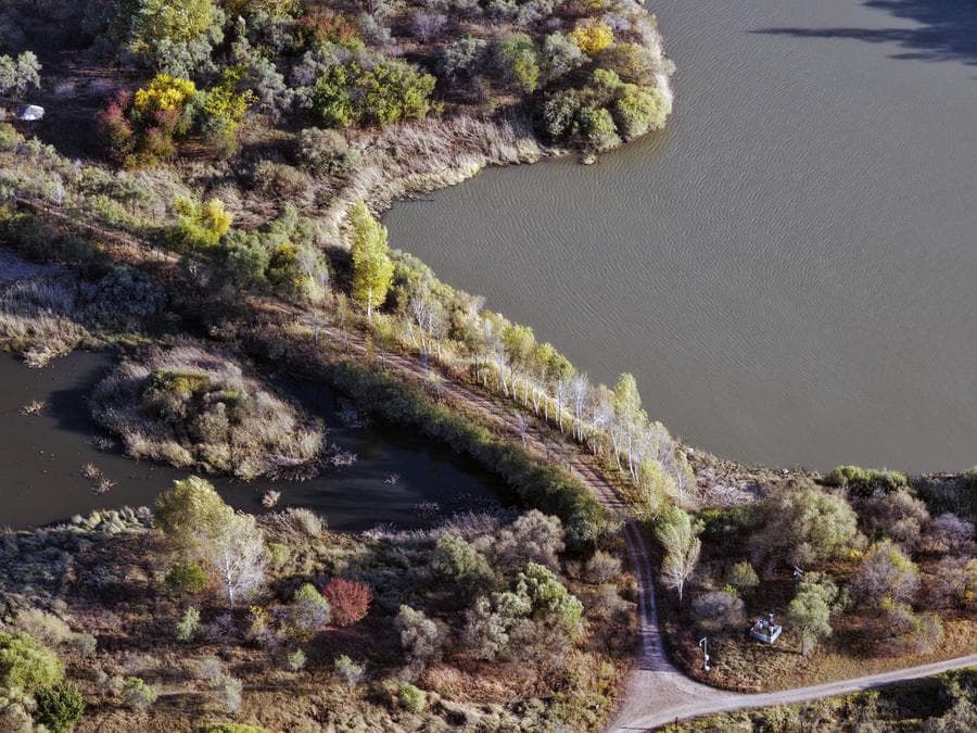 สีสัน 'พื้นที่ชุ่มน้ำ' ยามฤดูใบไม้ร่วงในฮาร์บิน