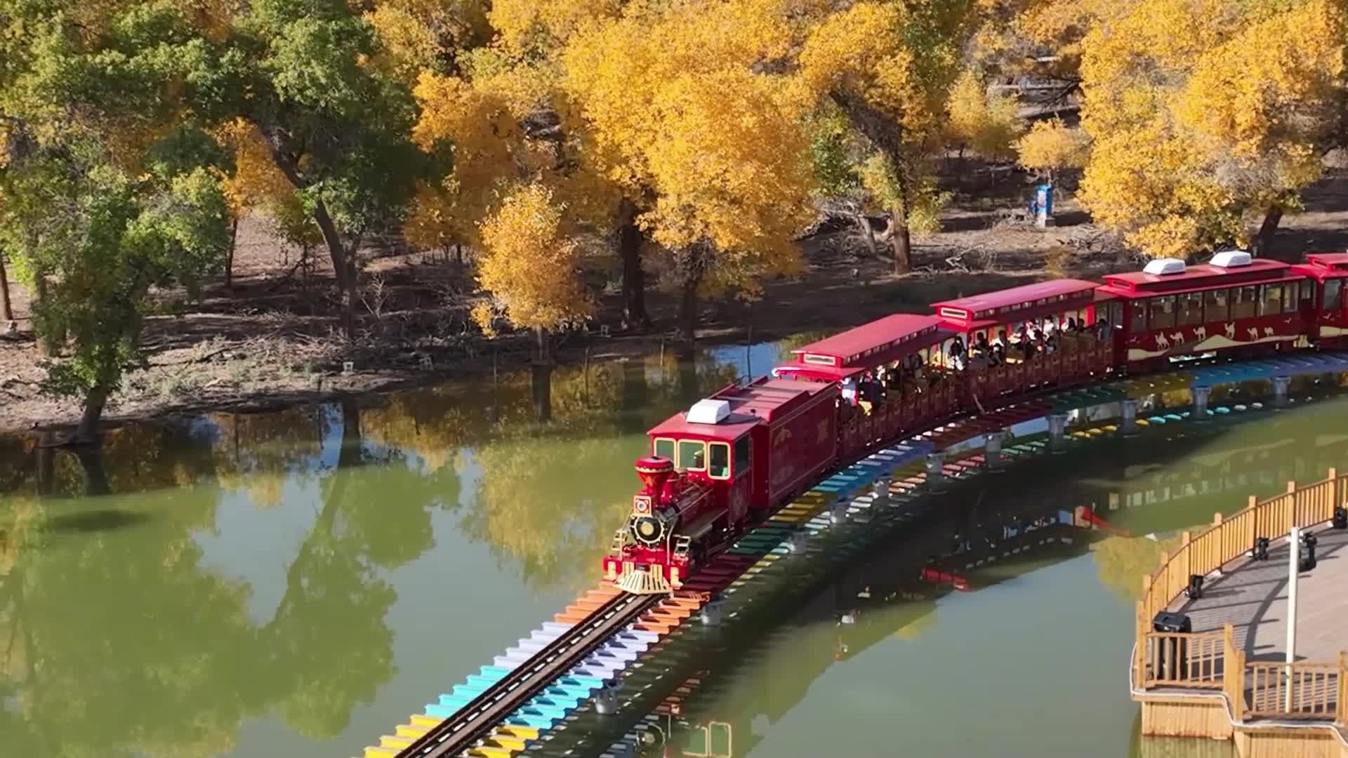 นั่งรถไฟแดงชมวิว 'ป่าต้นหูหยาง' เหลืองอร่ามในมองโกเลียใน