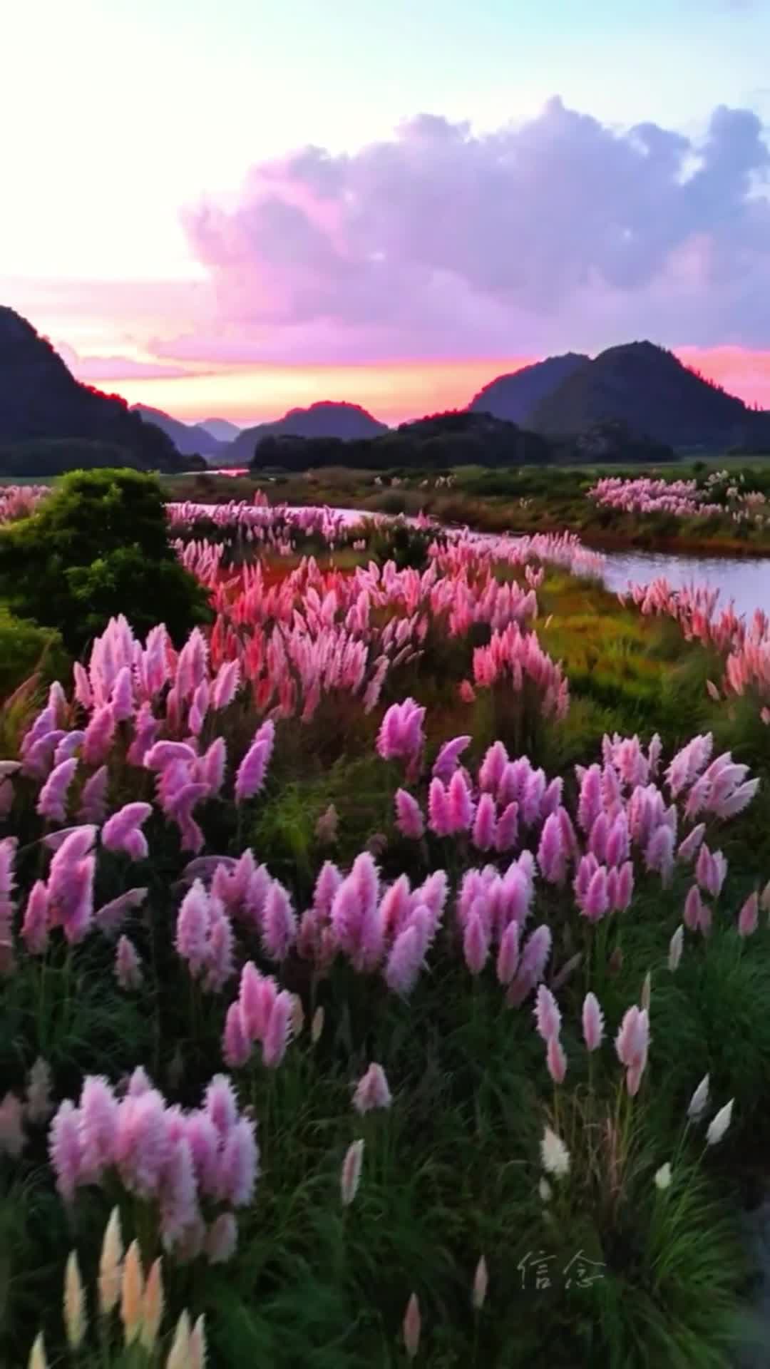 เยือนยลความงาม 'พื้นที่ชมวิวผู่เจ่อเฮย' โลกแห่งความฝันในยูนนาน