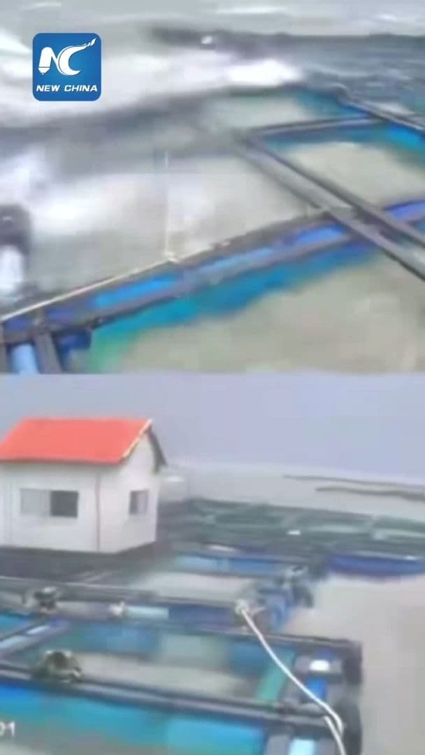 ไต้ฝุ่นแมตโมพัดถล่มชายฝั่งจีน ฝนกระหน่ำ-ลมกระโชกแรง