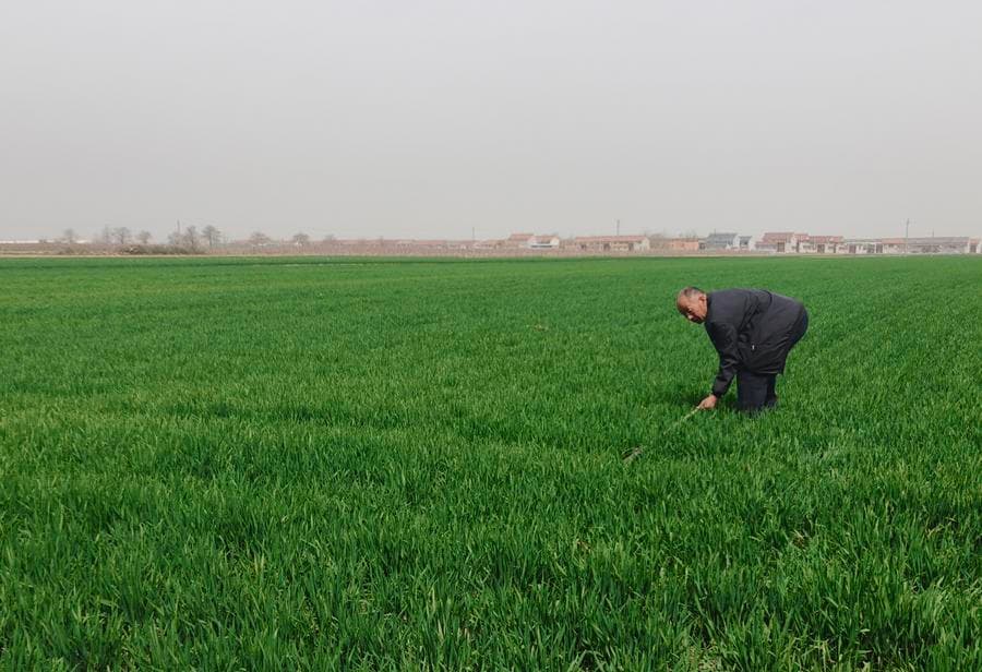 จีนเดินหน้าปราบ 'อาชญากรรมการเกษตร' พิทักษ์ความมั่นคงทางอาหาร