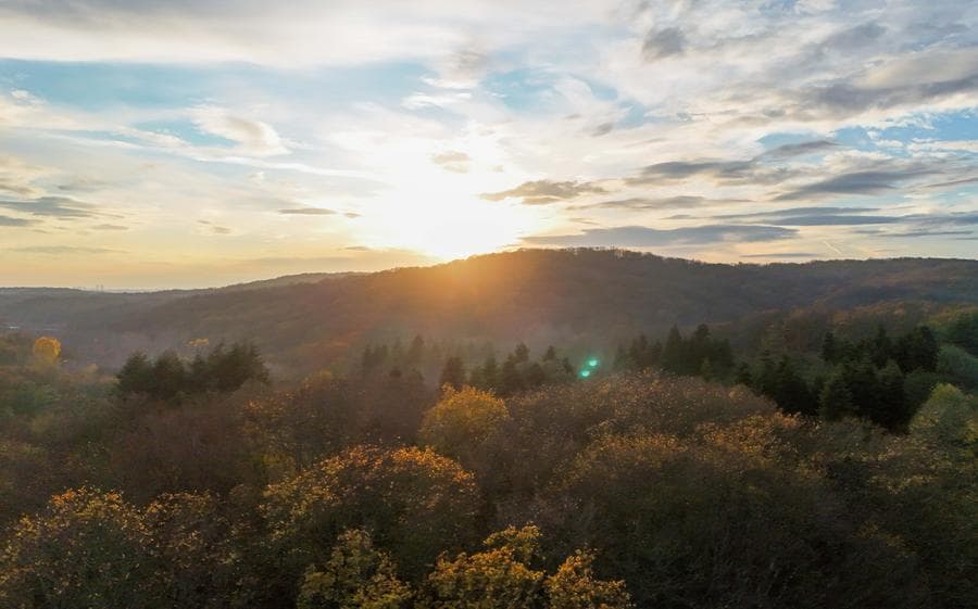 ป่าในอิสตันบูลผลัดใบใต้แสงฤดูใบไม้ร่วง