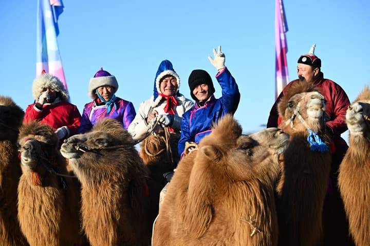 งานแข่งอูฐ ซูเปอร์ลีก' แลนด์มาร์กเที่ยวใหม่ในมองโกเลียใน