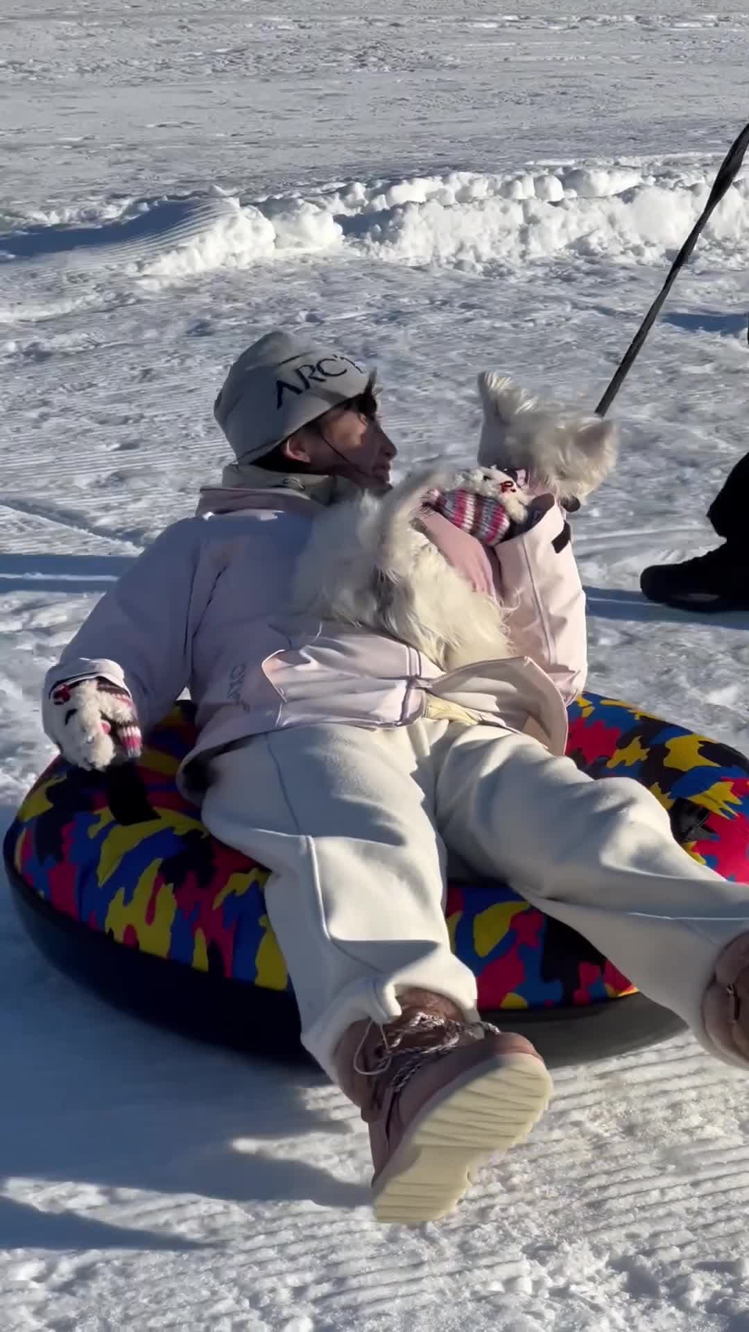 ขอเล่นด้วย! สกีรีสอร์ตปักกิ่งจัดกิจกรรม 'สัตว์เลี้ยง' เล่นสนุกกลางหิมะ